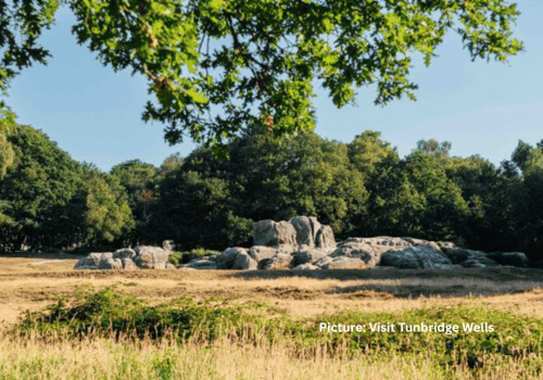 Take a Scenic Walk on Tunbridge Wells Common